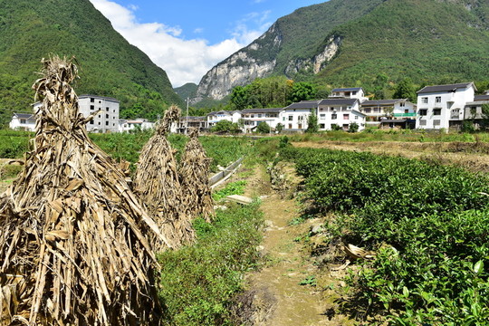 湖北恩施市麂子渡景區(qū)田園風(fēng)光