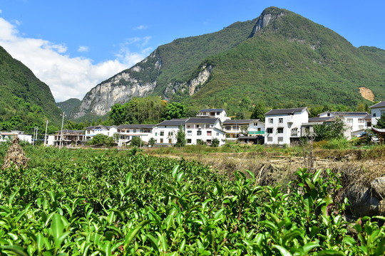 景區(qū)田園風(fēng)光