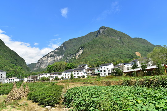 湖北恩施市麂子渡景區(qū)田園風(fēng)光