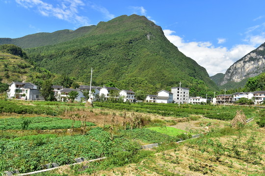 湖北恩施市麂子渡景區(qū)田園風(fēng)光