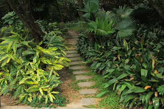 公園小道