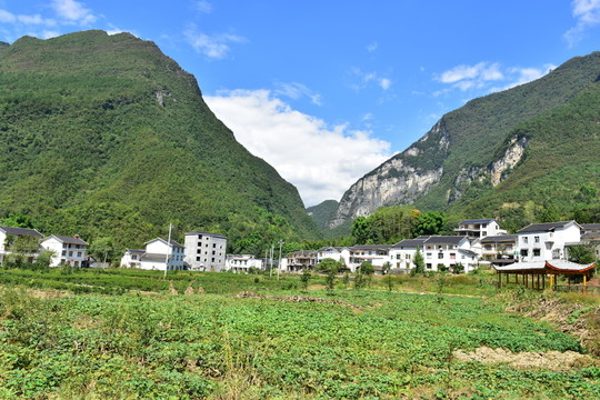 湖北恩施市麂子渡景區(qū)田園風(fēng)光