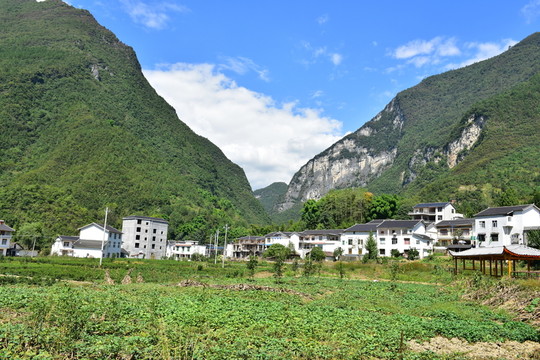 鄉(xiāng)村
