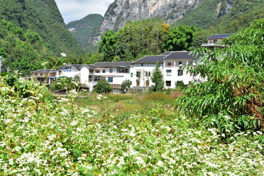 湖北恩施市麂子渡景區(qū)田園風(fēng)光