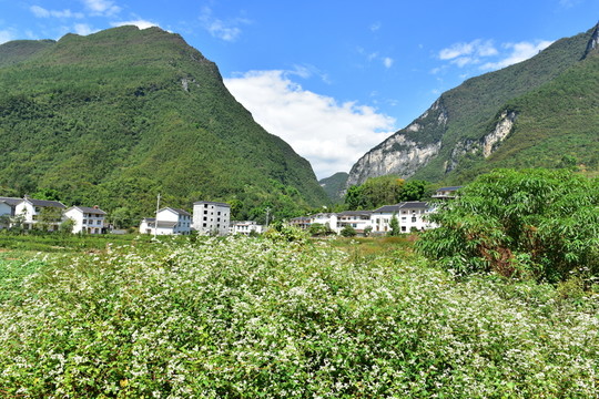 湖北恩施市麂子渡景區(qū)田園風光