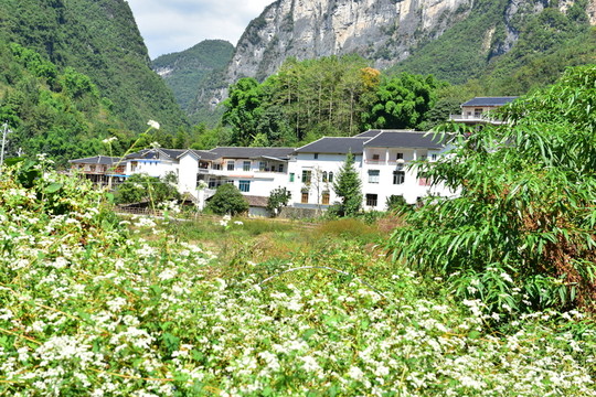 湖北恩施市麂子渡景區(qū)田園風(fēng)光