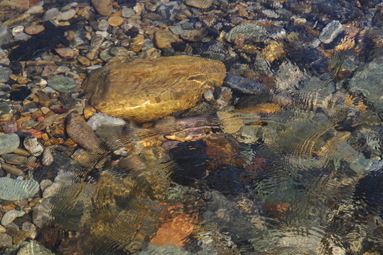 清澈溪水