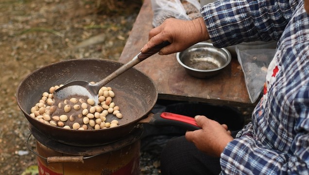 炒白果