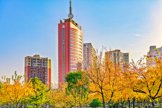 魯中晨報(bào)