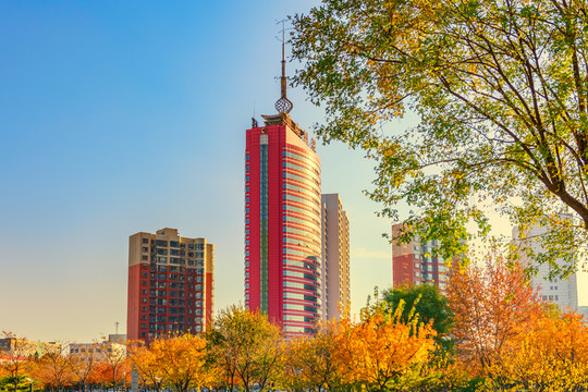 魯中晨報(bào)