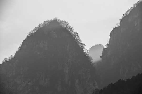 水墨畫