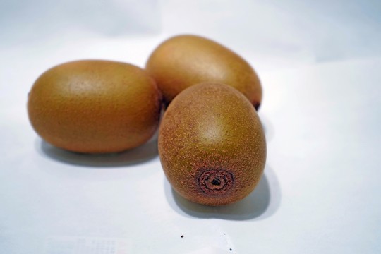 一個(gè)獼猴桃素材