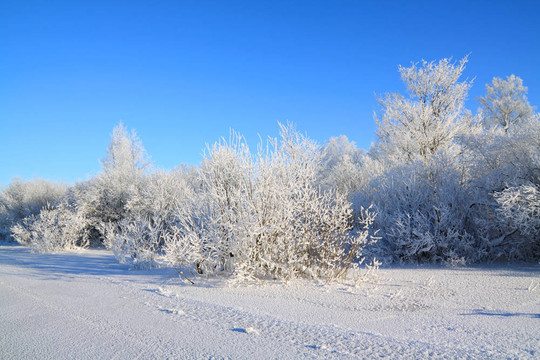 雪在海岸結冰的河流