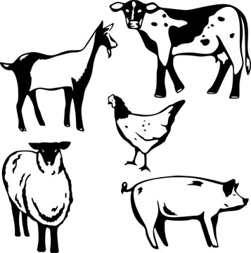 農(nóng)場動物