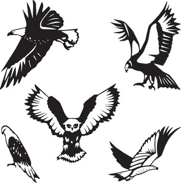 五種風格化的鳥類