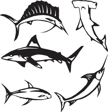 五大海洋魚