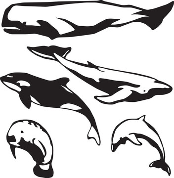 海獸