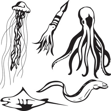 海洋生物