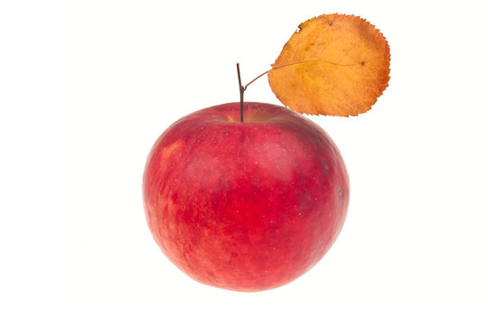 紅蘋果
