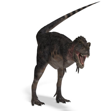 Dinosaur Tarbosaurus。3D渲染與剪輯路徑和陰影超過白色