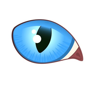 貓眼形象
