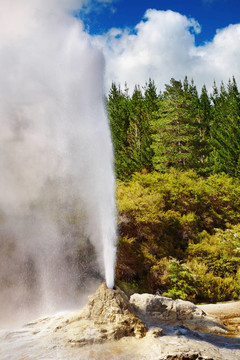 Lady Knox Geyser；新西蘭