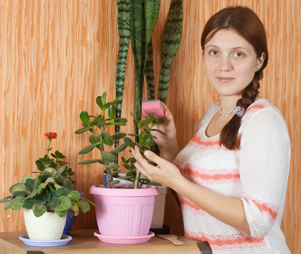 女人在鍋里洗花