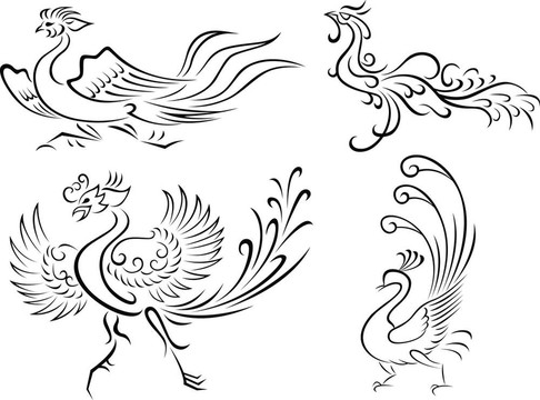 部落鳥插圖