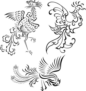 部落鳥插圖