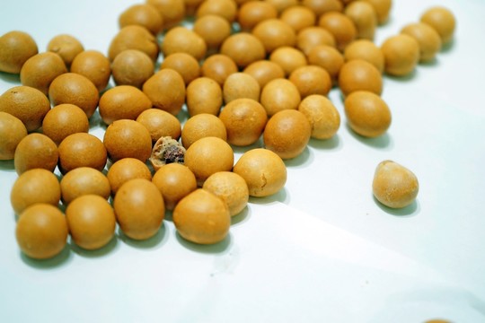 魚皮花生 高清特寫