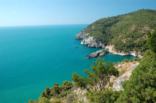 夏天的海岸線景觀；加爾加諾；Apulia；意大利
