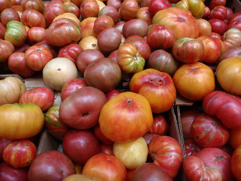 束五彩繽紛的各種尺寸的hierloom Tomatos