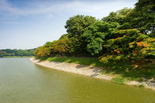 湖畔