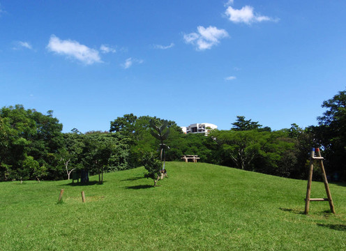 在國家公園在圣若澤空游戲區(qū)；哥斯達(dá)黎加