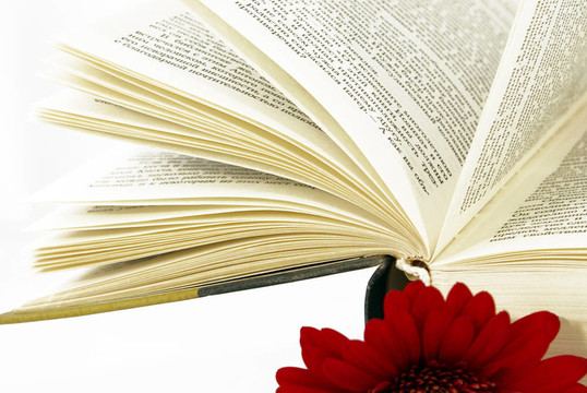 開了一本紅色的花的書。