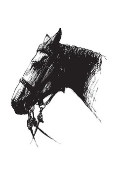 馬