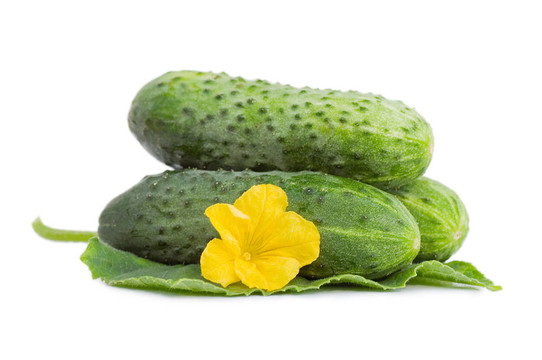 綠色的黃瓜蔬菜葉子和花分離