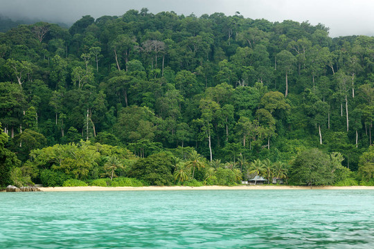 熱帶海景