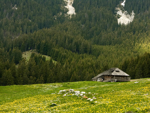 小屋在山羊圈