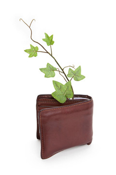 錢(qián)包和植物