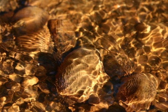 黃金水