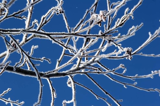 下雪的冬天
