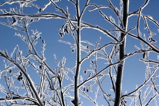 下雪的冬天