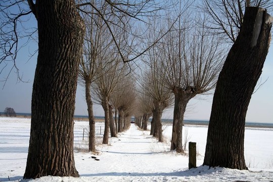 下雪的冬天