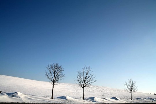 下雪的冬天