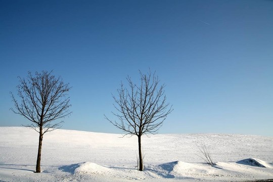 下雪的冬天