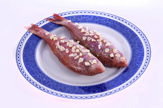 兩只紅色的魚