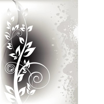 白枝