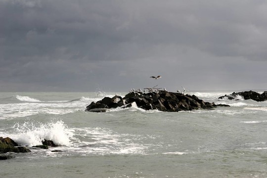 海灘活動