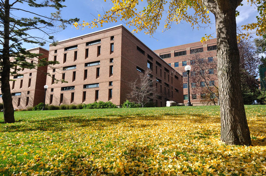 大學(xué)校園磚建筑